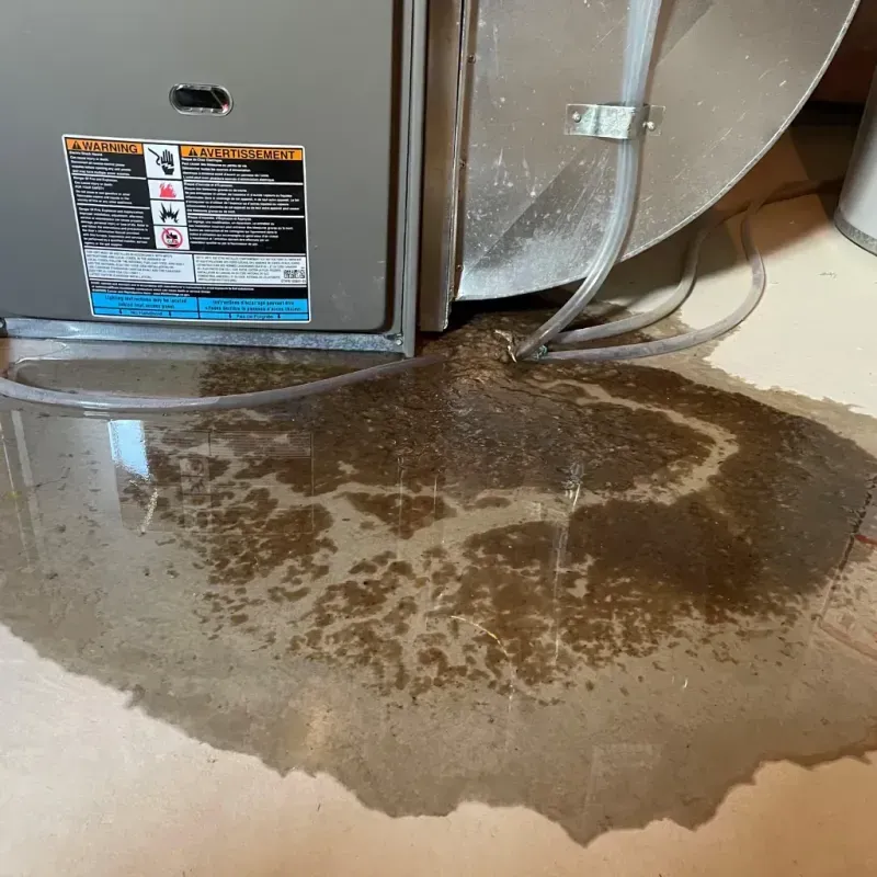 Appliance Leak Cleanup in Hudson, TX